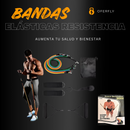 Kit Bandas Elásticas de Resistencia Gym | 5 Niveles | Látex | Ancla de Puerta + Asas Espuma