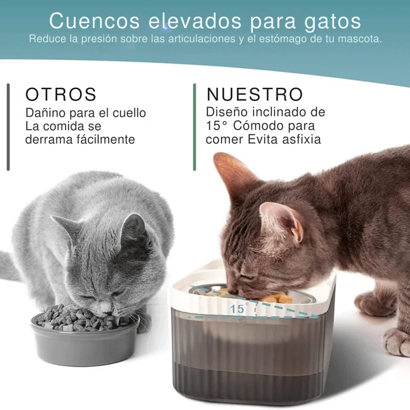 Comedero y bebedero de mascotas con fuente